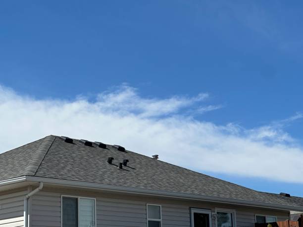 Steel Roofing in Colorado City, CO